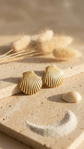 Elegant Gold-Finished Stainless Steel Scallop Shell Studs